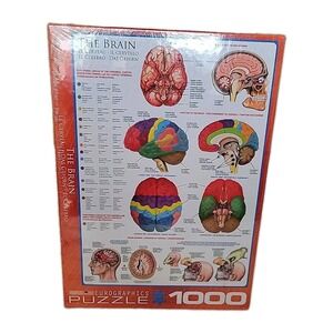 The Brain 1000‎ piece jigsaw puzzle by Eurographics  19 1/4 x 26 5/8